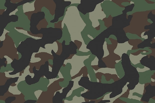 Woodland Camo *S image - InsanityPays - Indie DB