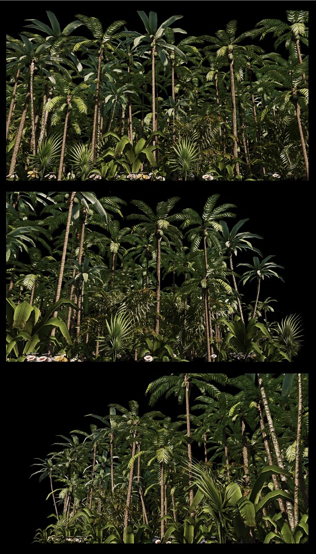 Jungle Trees