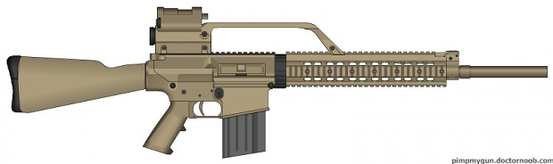 Custom Desert Storm SR-25