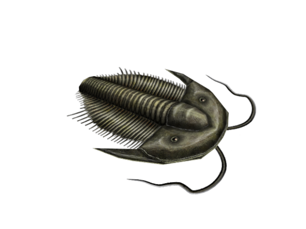 Trilobite image - CTLN7 - Indie DB