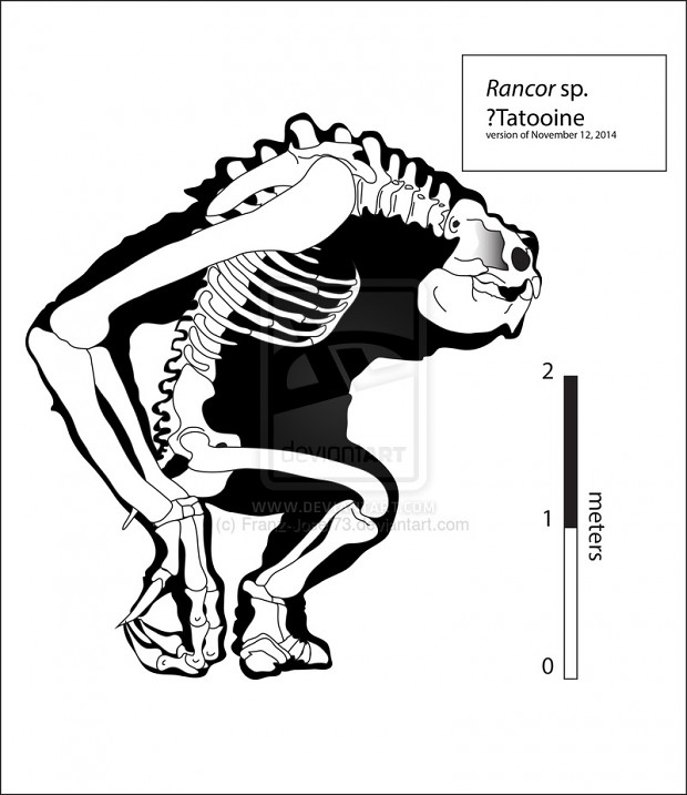 Rancor Skeleton