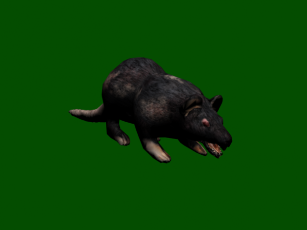 Rat, Game Model