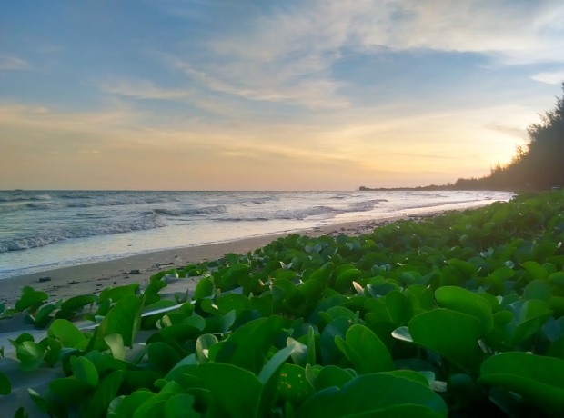 Sunset at the beach