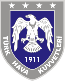 Turkish Airforce Seal