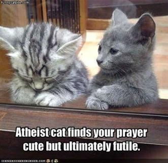 Atheist cat.