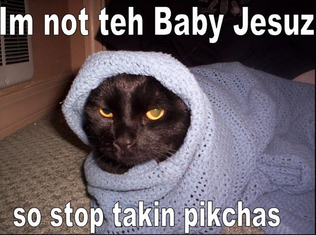 JEEZUS CAT