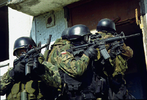 Polish Special Forces GROM