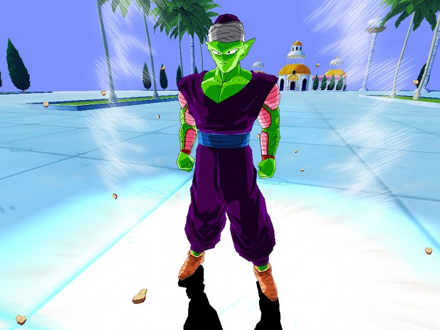 piccolo2