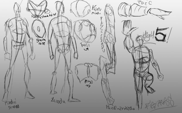 Dynamic body study.