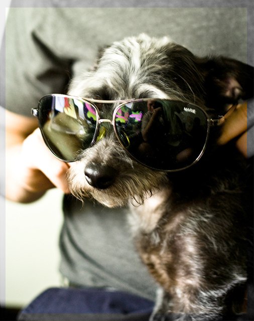 Paavo being cool dawg <: