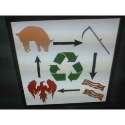 Pig Life Cycle
