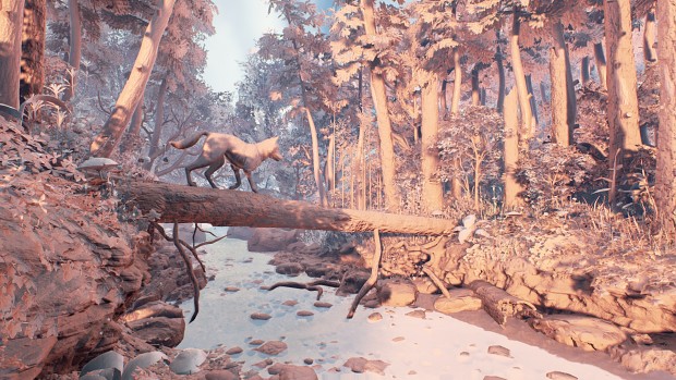 The Wolf and the Forest, UE4 Environment
