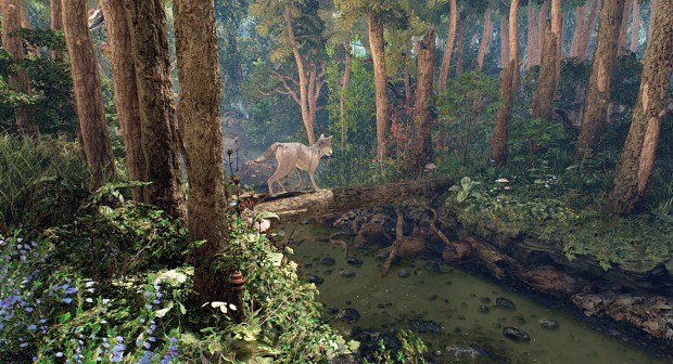 The Wolf and the Forest, UE4 Environment
