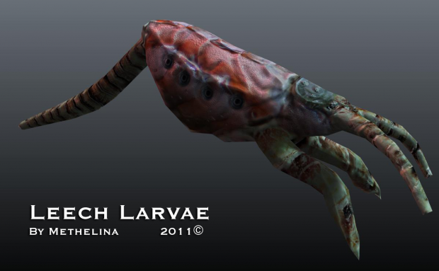 Leech Larvae
