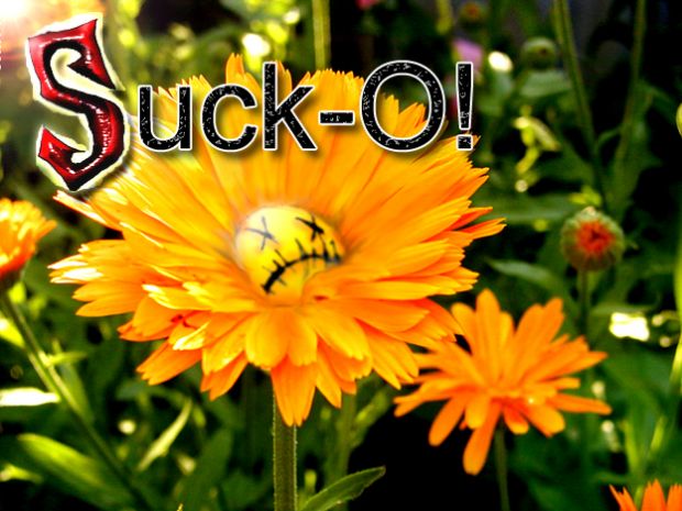 Suck-O! Flower (real)