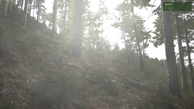 Arma II Day In The Woods