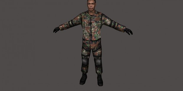 Philippine Marines Corps (PMC) skin for AFP Mod