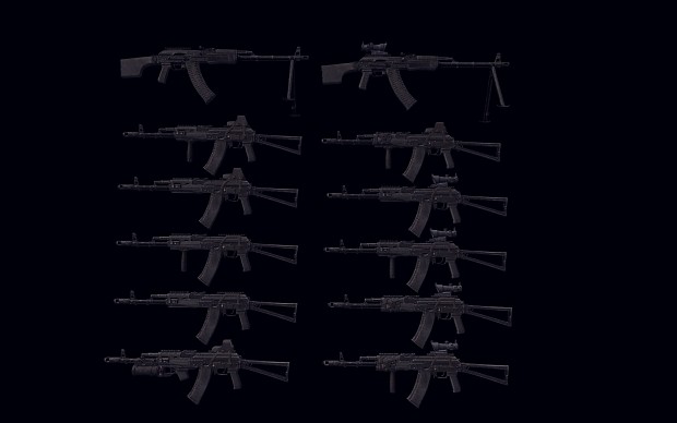 Some AK and RPK variants