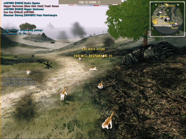 Fumeancats in game