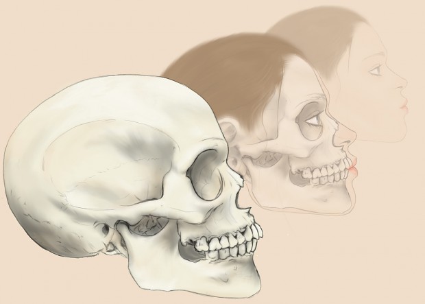 Digital Art: Skull