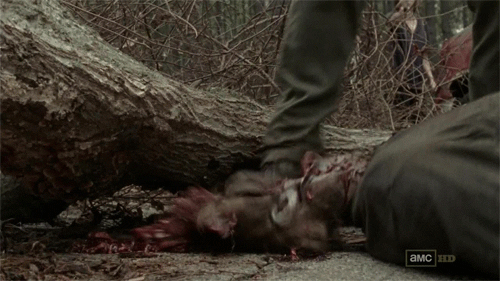The Walking Dead "The Suicide King" Smashing Head
