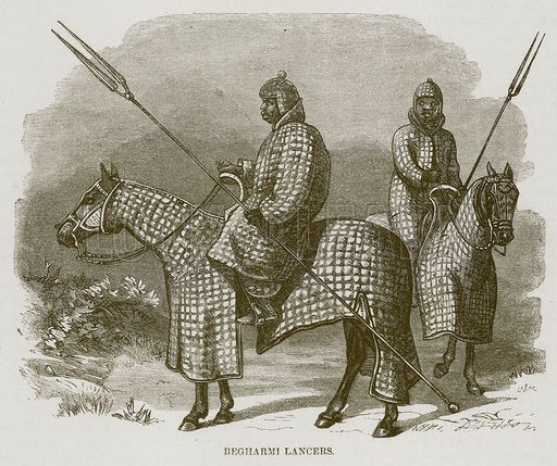 Bornu Knights
