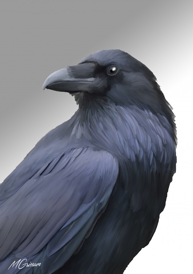 Ravy the Raven