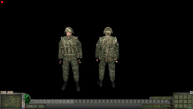 Arma 2 like skin