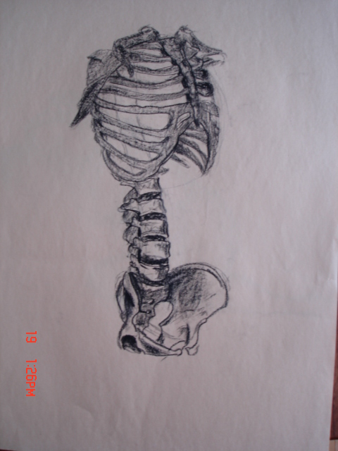 Skeletal