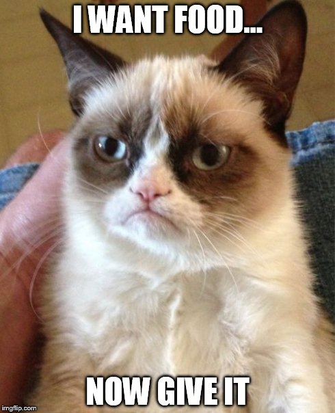 Grumpy Cat Exclusive: Get To Know Her!