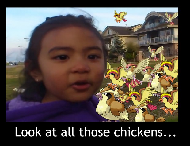 look at all those.... CHICKENS!? WTF