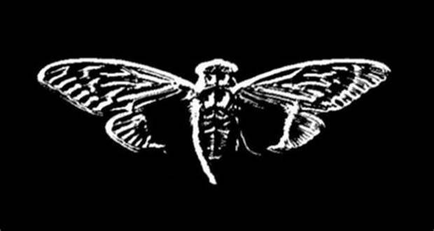 Cicada 3301