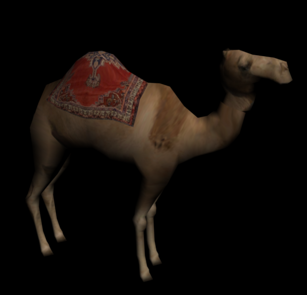 New Camel Model