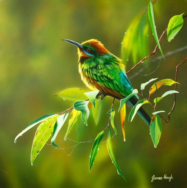 "Bee Eater" by James Hough