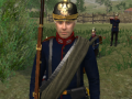 Napoleonic Wars Blood and Iron Prussian Reskin