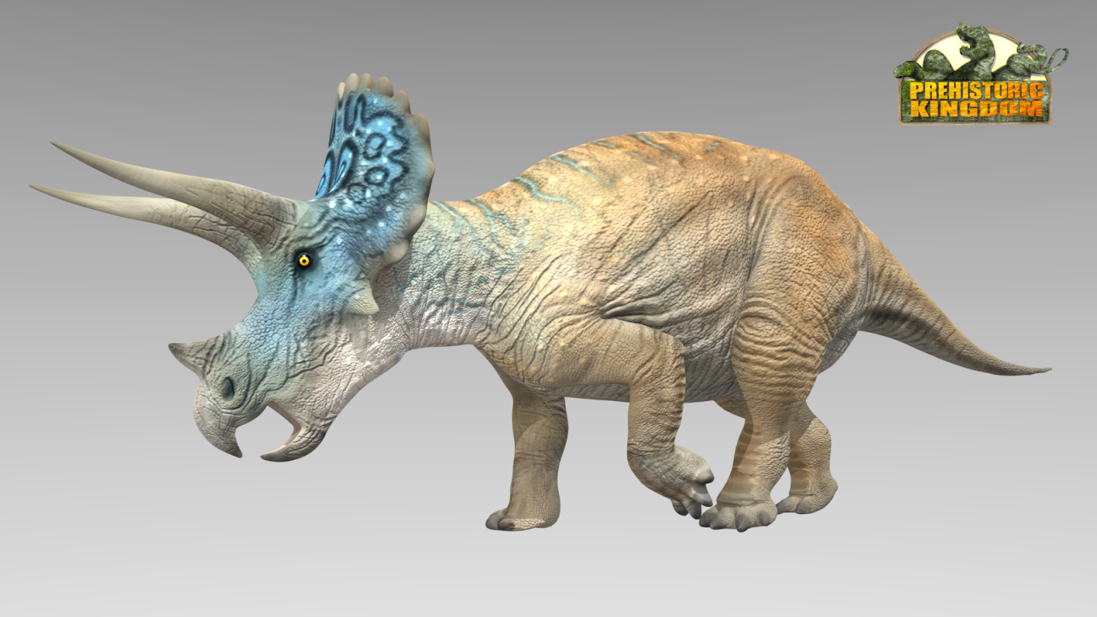 male triceratops