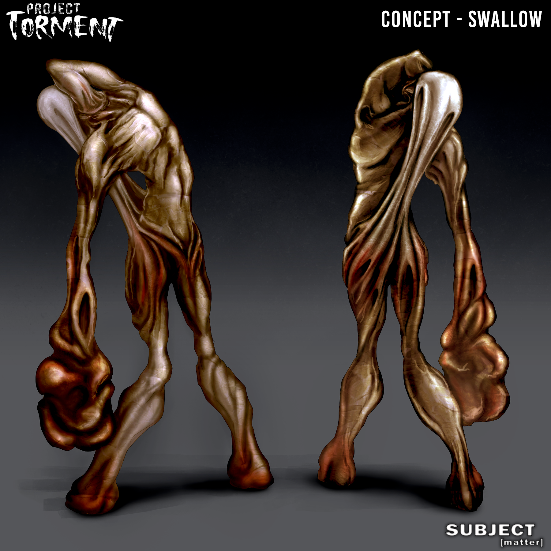 Project Torment Swallow Concept