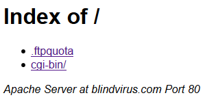Blindvirus.com