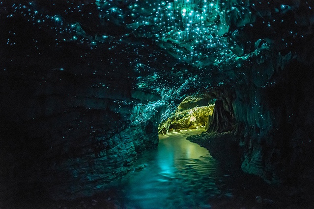 Real world prototype - bioluminescent worms in New Zealand’s caves.