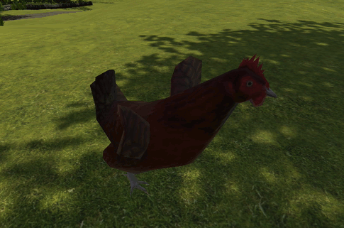 chicken 01