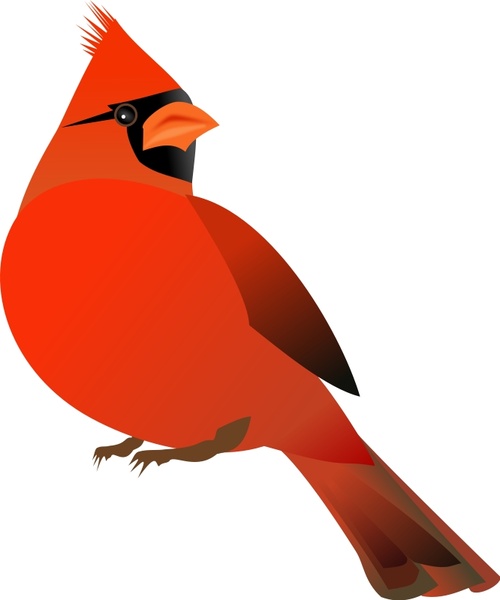cardinal logo