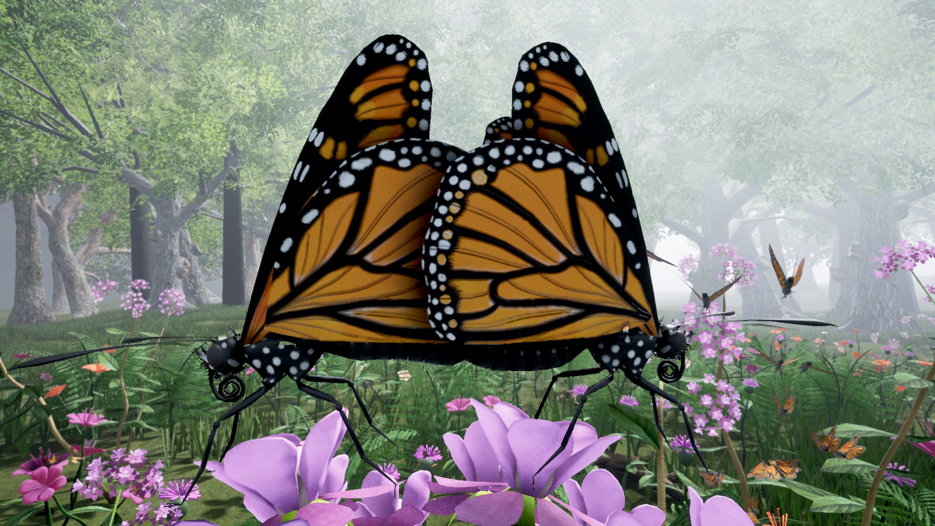 Butterfly Mating, Reproduction & Migration Announced! news - Drunk On ...