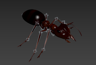 Smoothed Ant Model