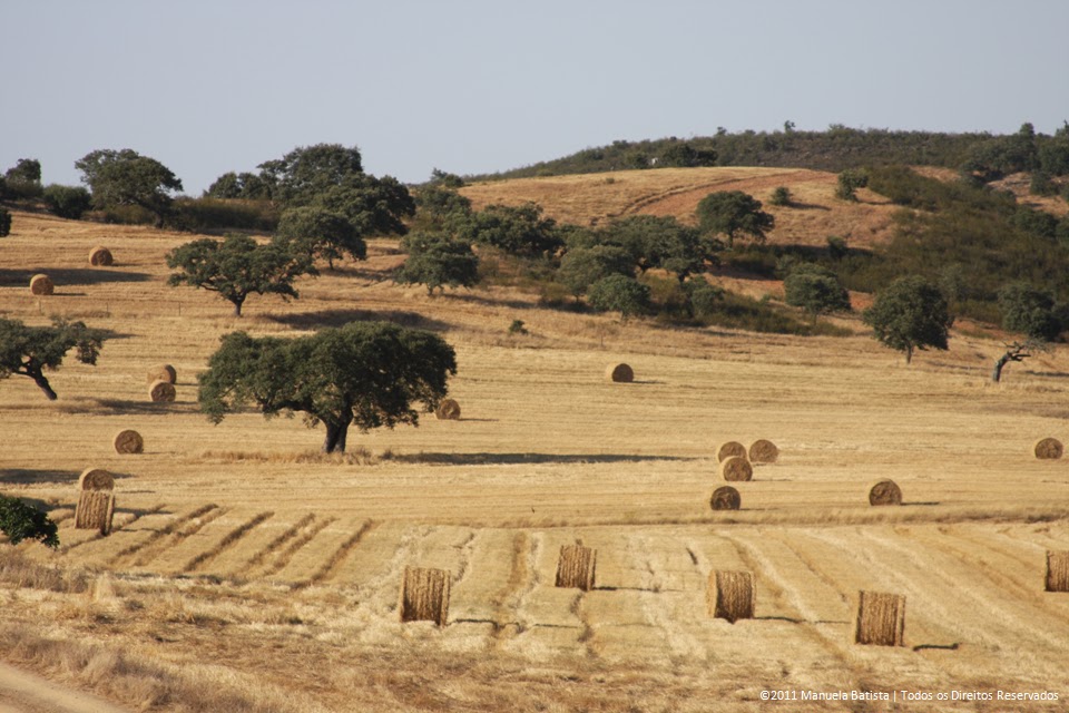 Cravo e Canela: Sabores do Alentejo