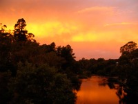 Smoke from the Victorian bushfires mixes with clouds over Warrandyte. Photo: Nick Carson.