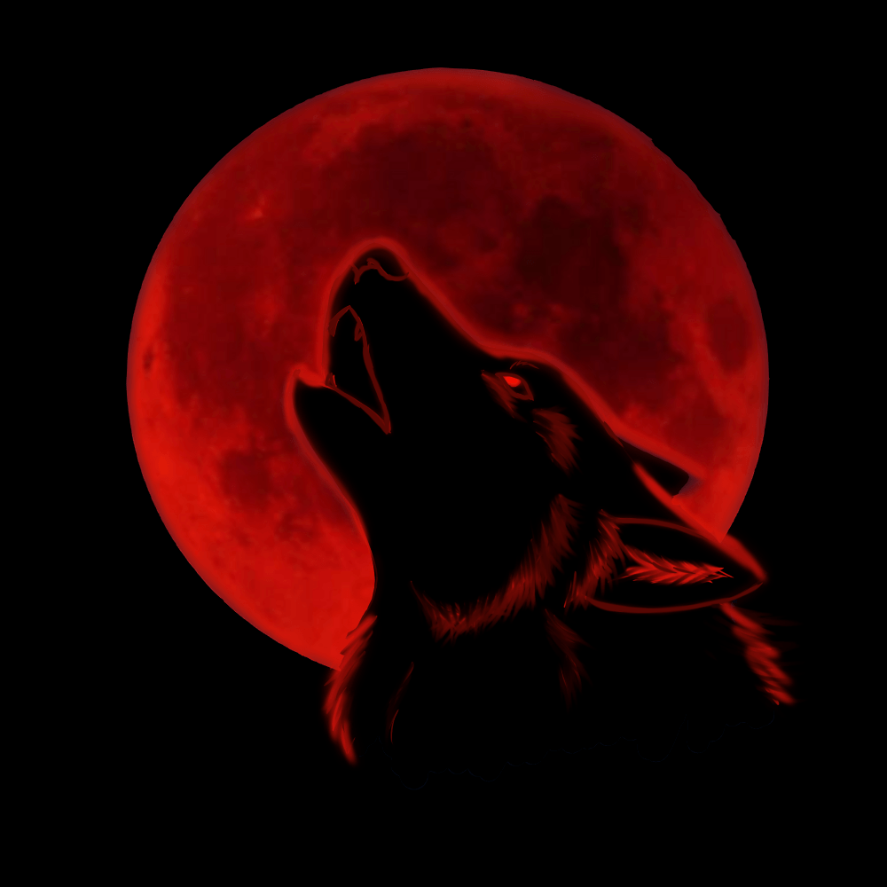 cool alpha wolf red eyes