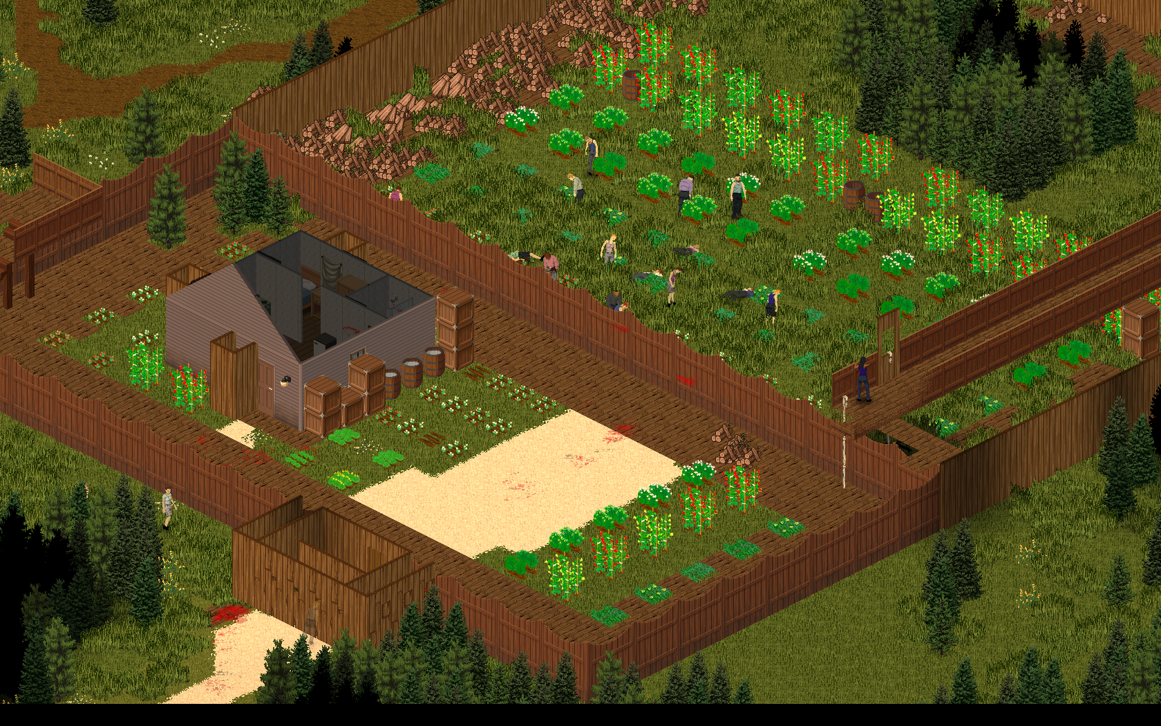 Project Zomboid Nov image - Indie DB