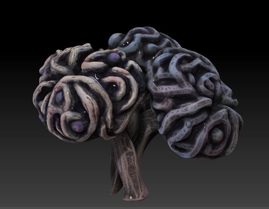 Гриб для мозга. Мозгогриб. Brain fungus. Гриб мозг фото.