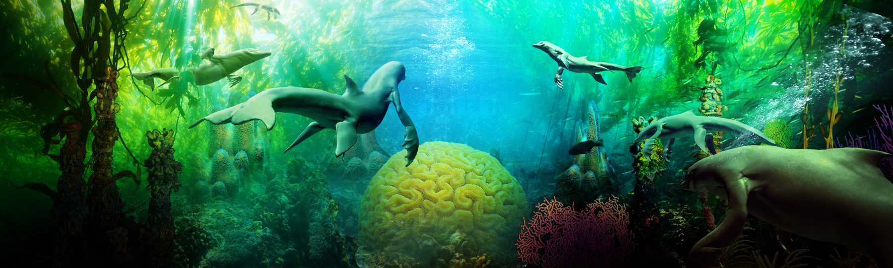 Dolfin Species image - Dimension Nexus Adventures - Indie DB