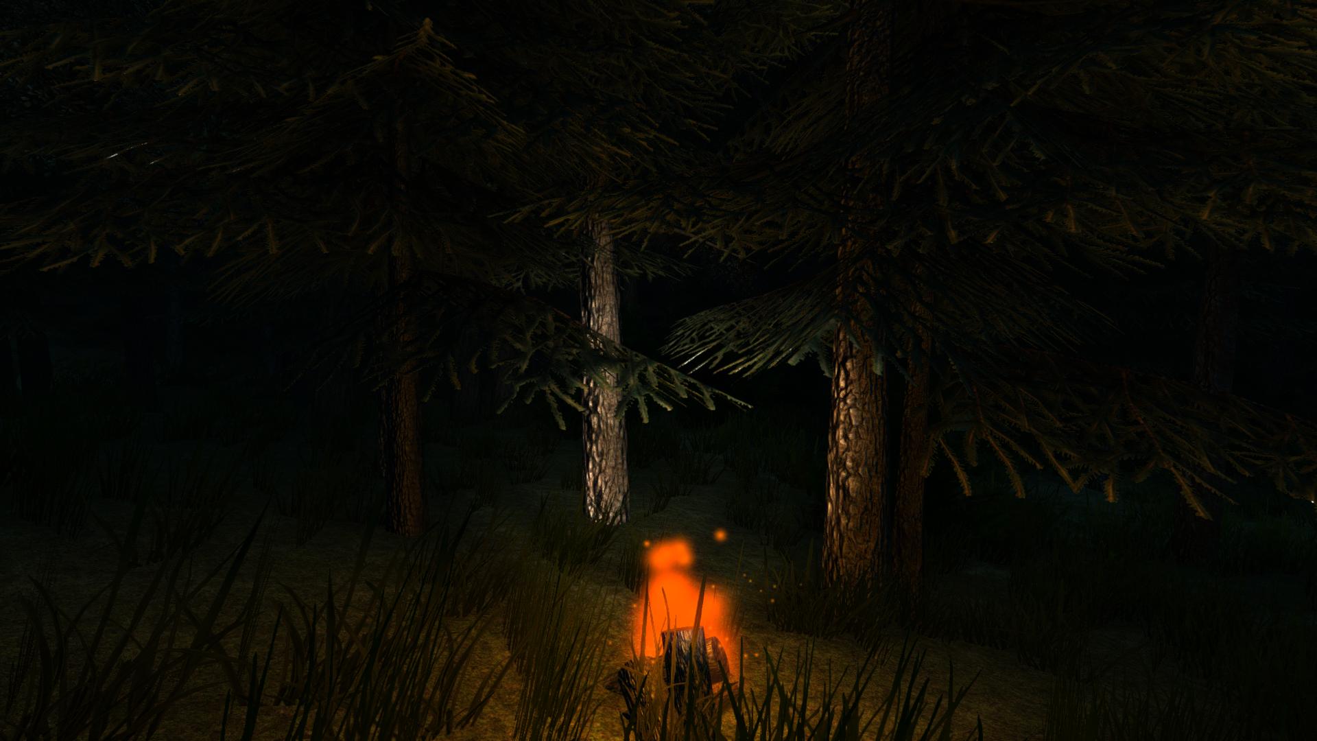 Ночь в запретном лесу последняя версия мод. Ночной лес в играх. Хижина в ночном лесу с костром. Костер в страшном лесу. Ночь в лесу игра.